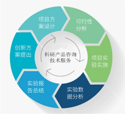 人半乳糖-3-O-磺基轉移酶2 功能、基因與臨床意義探析